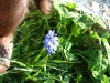 dscf3904.jpg