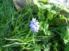 dscf3906.jpg