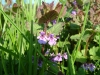dscf3912.jpg