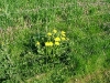 dscf3913.jpg