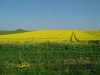 dscf3914.jpg