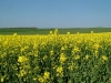 dscf3915.jpg