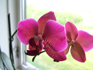 dscf3893.jpg