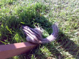 24042009357.jpg