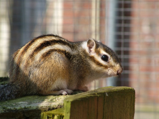 dscf3853.jpg