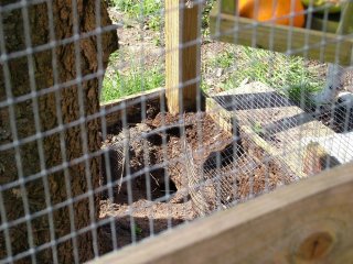dscf3878.jpg