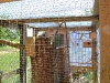 dscf4067.jpg