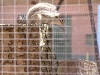 dscf4071.jpg