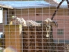 dscf4074.jpg