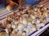 DSCN0418