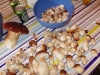 DSCN0419