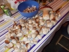 DSCN0429