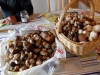 DSCN0434