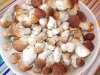 DSCN0437