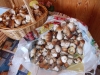 DSCN0443