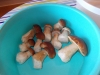 DSCN0444