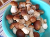 DSCN0452