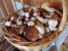 DSCN0454