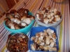 DSCN0455