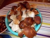 DSCN0457