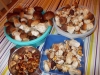 DSCN0459