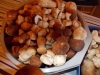 DSCN0461
