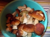 DSCN0465
