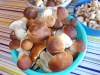 DSCN0483