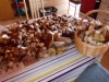 DSCN0504