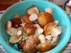 DSCN0529