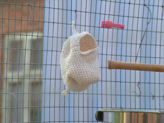 dscf3899.jpg