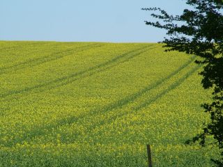 dscf3872.jpg