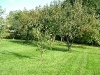 dscf4445
