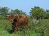 img_4345.jpg
