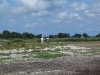 img_4476.jpg