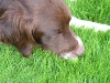 dscf4427.jpg