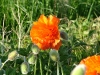 dscf4065_0.jpg
