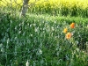 dscf4066_0.jpg