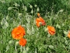 dscf4076_0.jpg