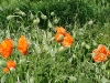 dscf4077.jpg