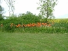 dscf4088.jpg