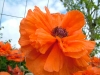 dscf4128.jpg