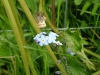 dscf4136.jpg