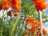 dscf4142.jpg