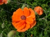 dscf4149.jpg