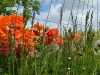 dscf4164.jpg